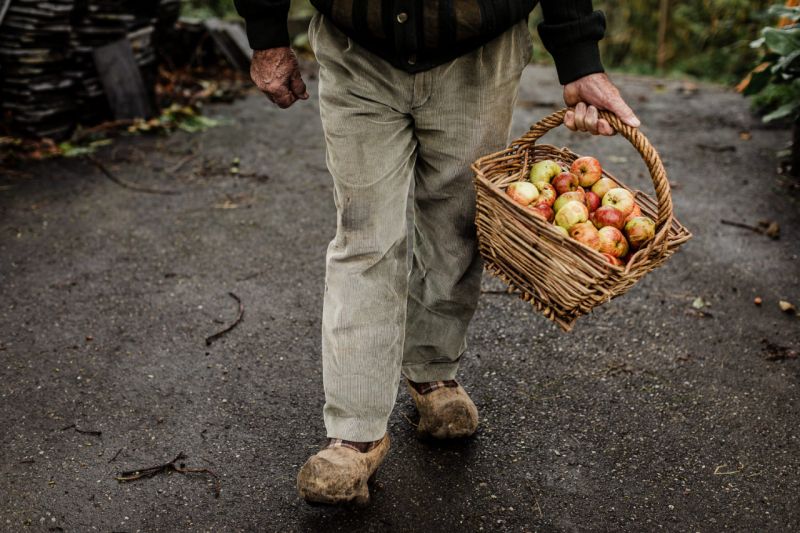 ASTURIAS, A NATURAL CIDER PARADISE