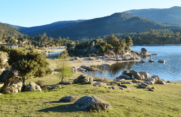 RAPTOR BIRDING IN AVILA