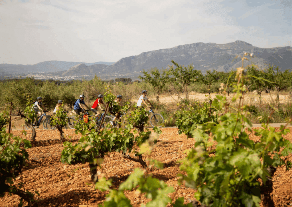WINE TOURISM WITH E-BIKE IN BOCAIRENT